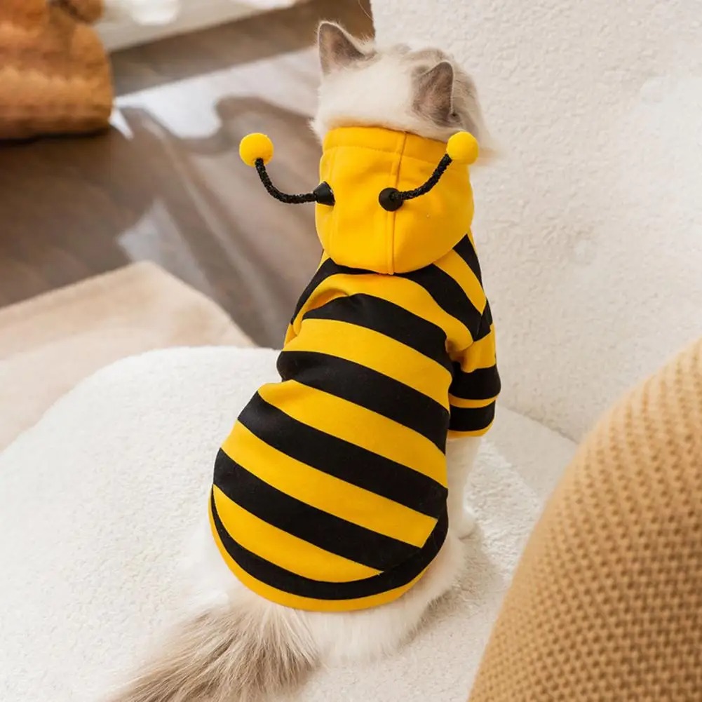 Pet Cats Clothes Kitten Stuff  - огляд і ціна Winter Clothing For Dogs