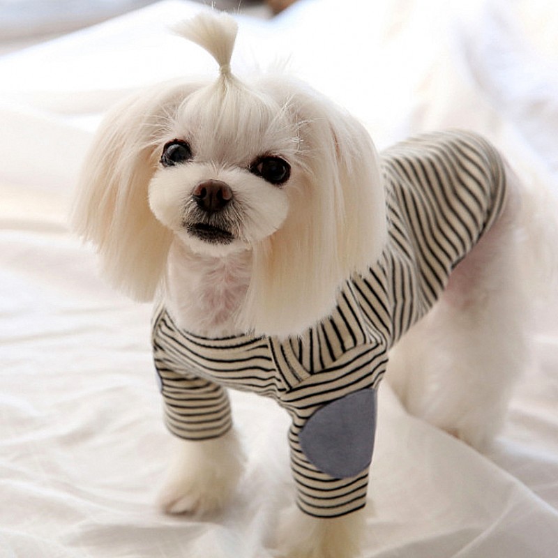 Thin Pet Dog Hoodies Fleece Do - огляд і ціна Winter Clothing For Dogs