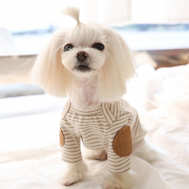 Thin Pet Dog Hoodies Fleece Do - огляд і ціна Winter Clothing For Dogs