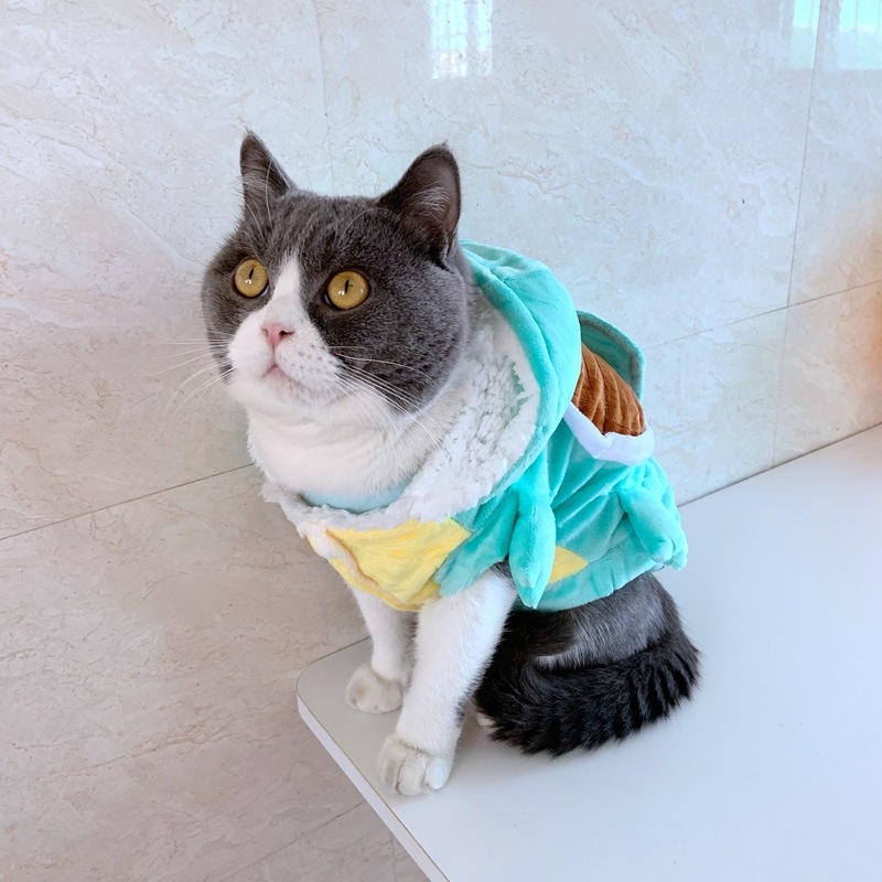 Turtle pet clothing, new autum - огляд і ціна Winter Clothing For Dogs
