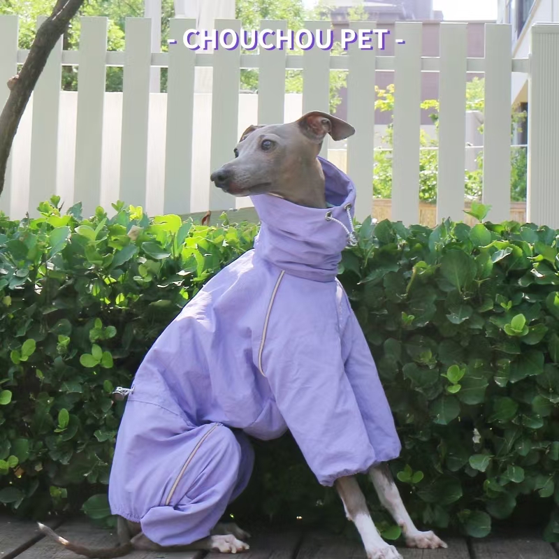 Italian Greyhound Raincoat Aut - огляд і ціна Winter Clothing For Dogs