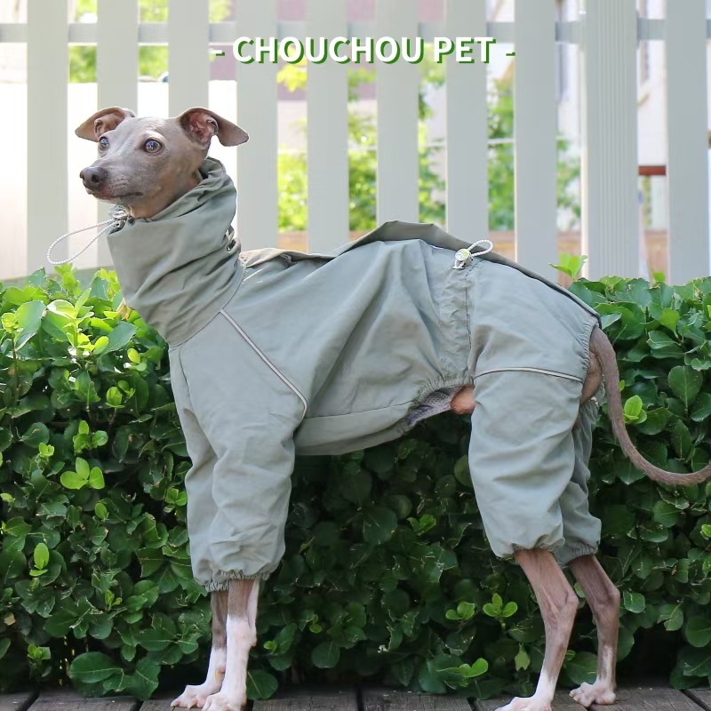 Italian Greyhound Raincoat Aut - огляд і ціна Winter Clothing For Dogs