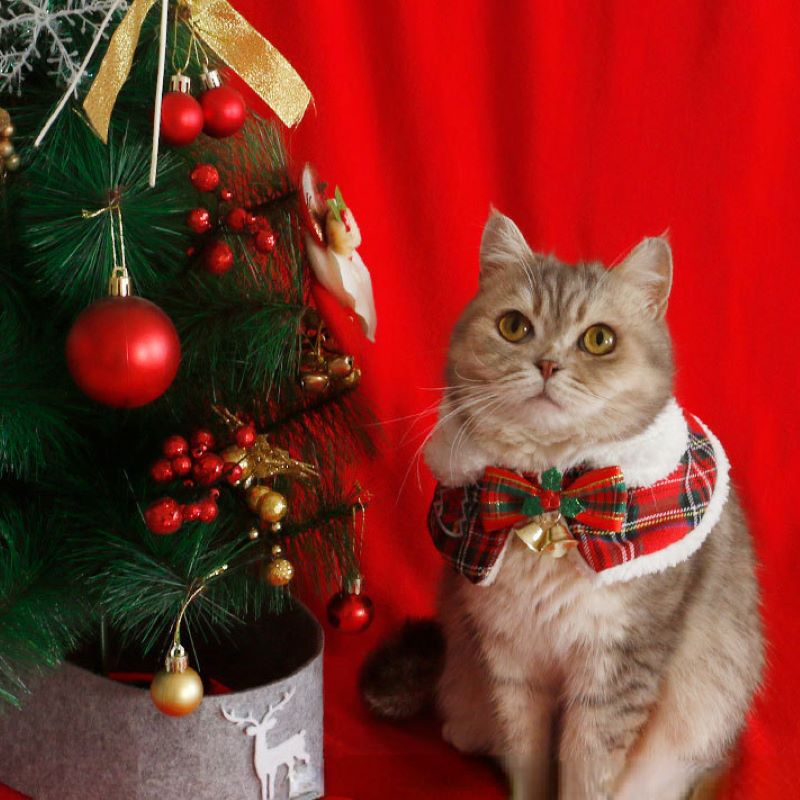 Cat Christmas Cloak Pet New Ye - огляд і ціна Winter Clothing For Dogs