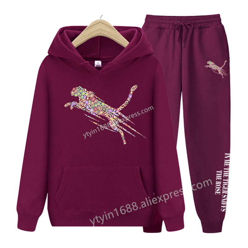 Womens TrackSuit  Aesthetic Sw - огляд і ціна Fleece Hoodie Lined