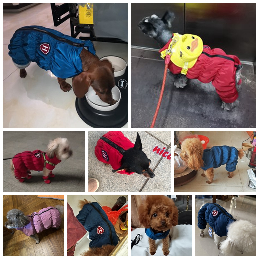 Zipper Snow Unisex Dog Waterpr - огляд і ціна Winter Clothing Baby