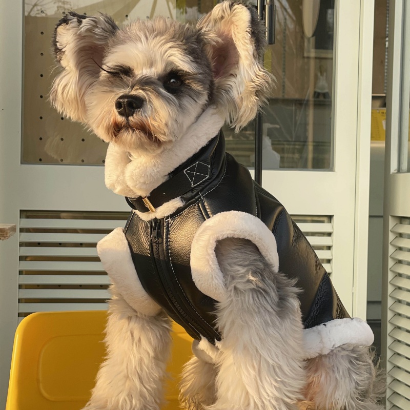 Pet Autumn Winter Velvet Sleev - огляд і ціна Winter Clothing For Dogs
