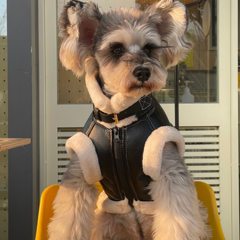 Pet Autumn Winter Velvet Sleev - огляд і ціна Winter Clothing For Dogs
