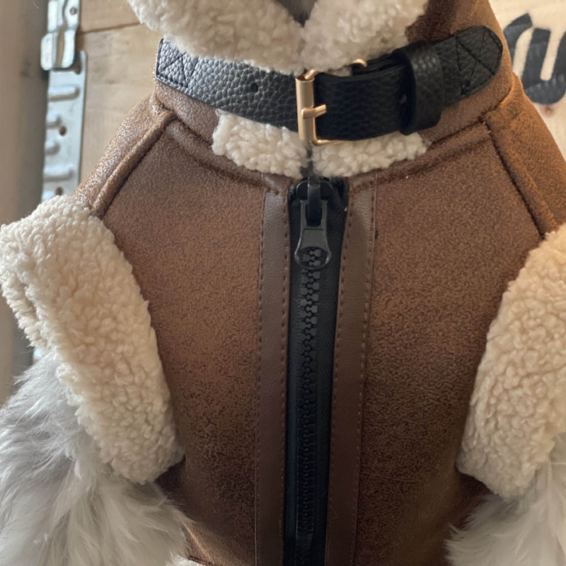Pet Autumn Winter Velvet Sleev - огляд і ціна Winter Clothing For Dogs