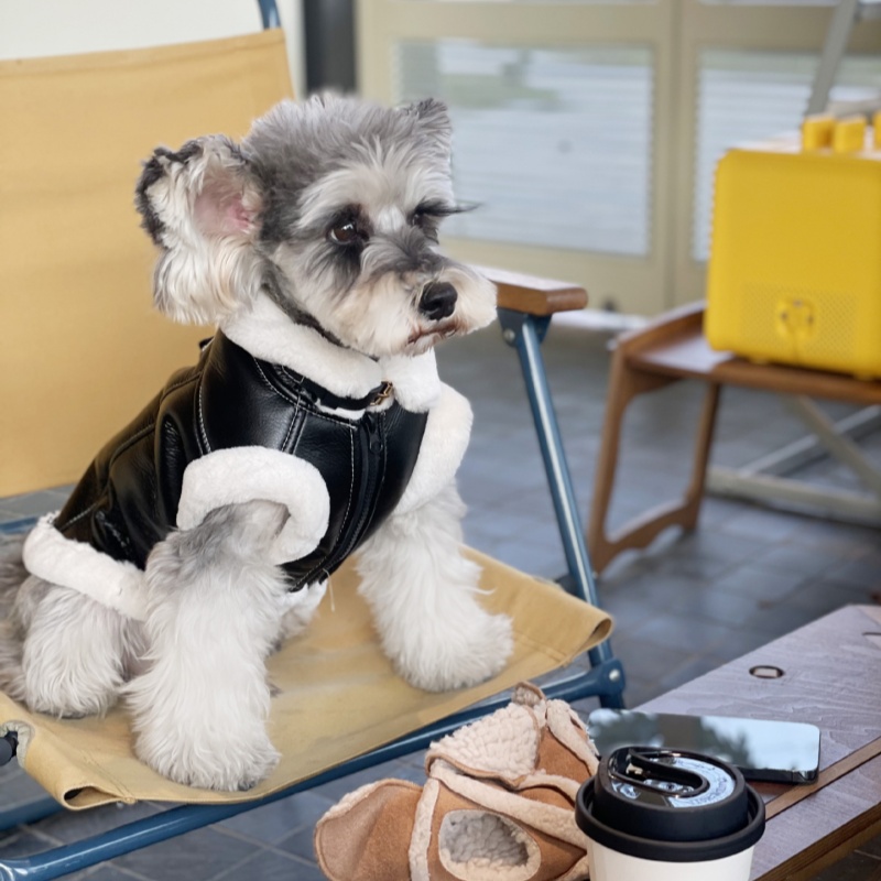 Pet Autumn Winter Velvet Sleev - огляд і ціна Winter Clothing For Dogs