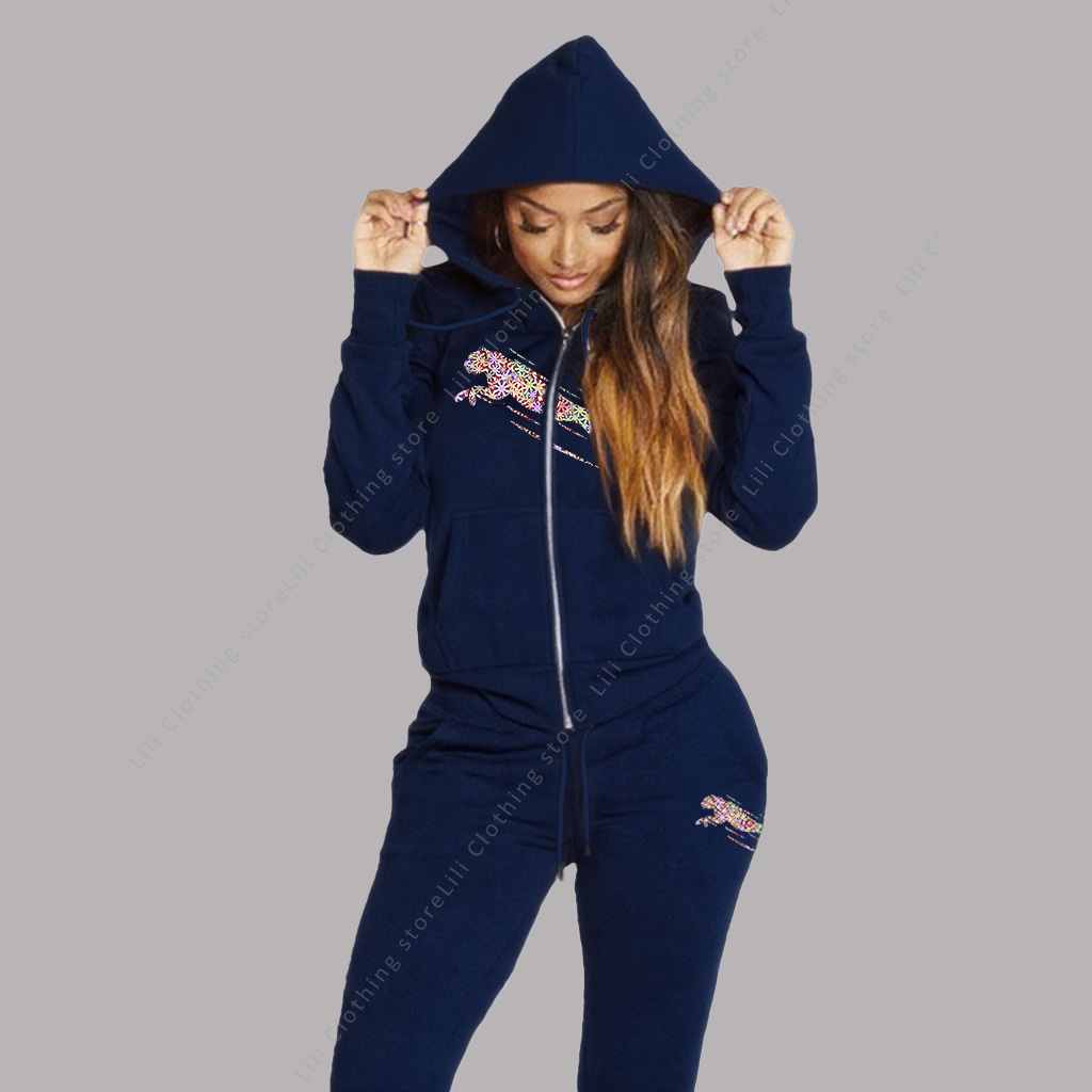 Women's Track Suit Aesthetic H - огляд і ціна Fleece Hoodie Lined